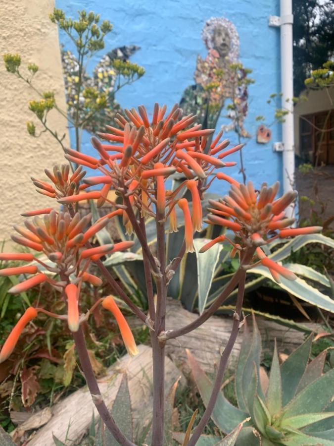 Artkaroo Stay Oudtshoorn Kültér fotó