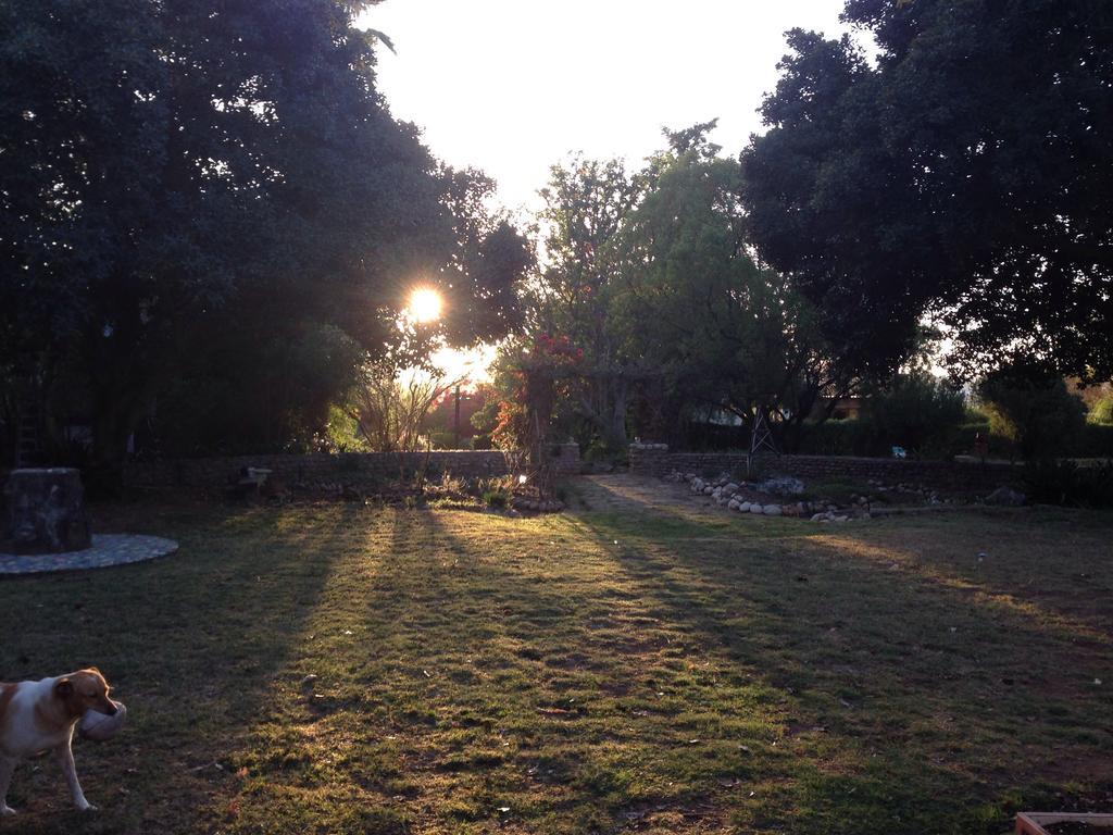 Artkaroo Stay Oudtshoorn Kültér fotó