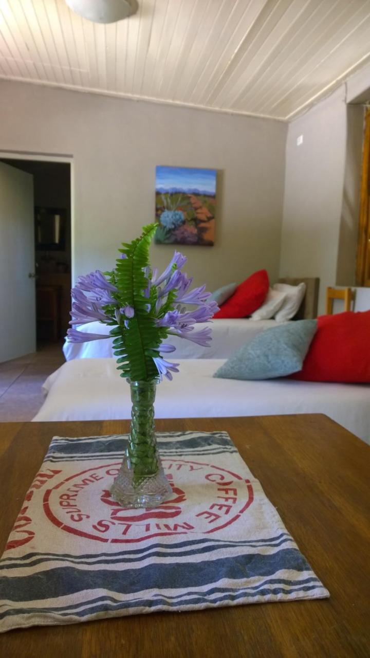Artkaroo Stay Oudtshoorn Kültér fotó